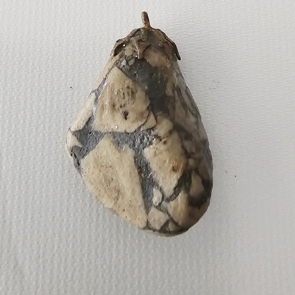 Natural Dragon Septarian Quartz Carved Stone Reptile Hideaway Charm Pendant